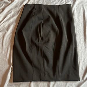 Express Pencil Skirt